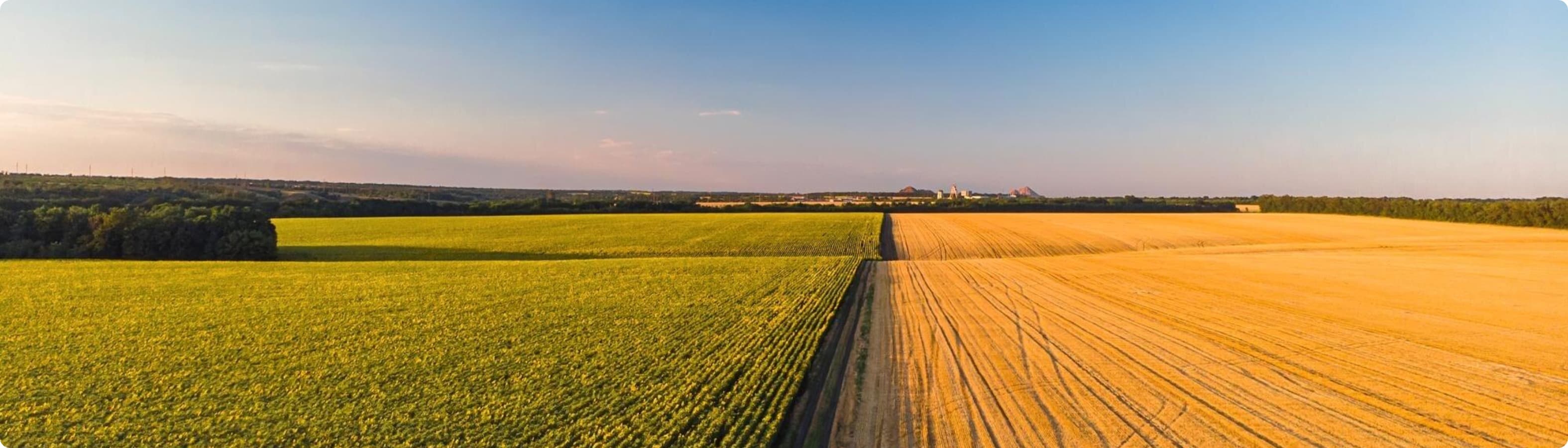 Банер — натуральна м'ясна продукція